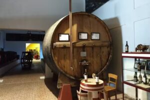 Adega Cooperativa de Sabrosa